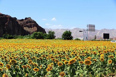 《星刃》“圣诞假日”更新将于12月17日推出